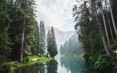 A Docile River Cutting Through Western Mountains