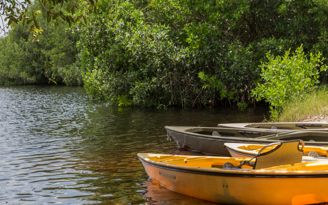 Top 5 Best National Parks in the U.S. for Wildlife